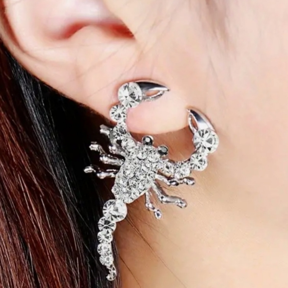 Beautiful Scorpion 🦂 Stud earrings